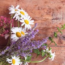 Aromatherapy Roller Oils Collection