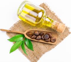 Wheatgerm Oil Blend - Nourish • Restore • Protect